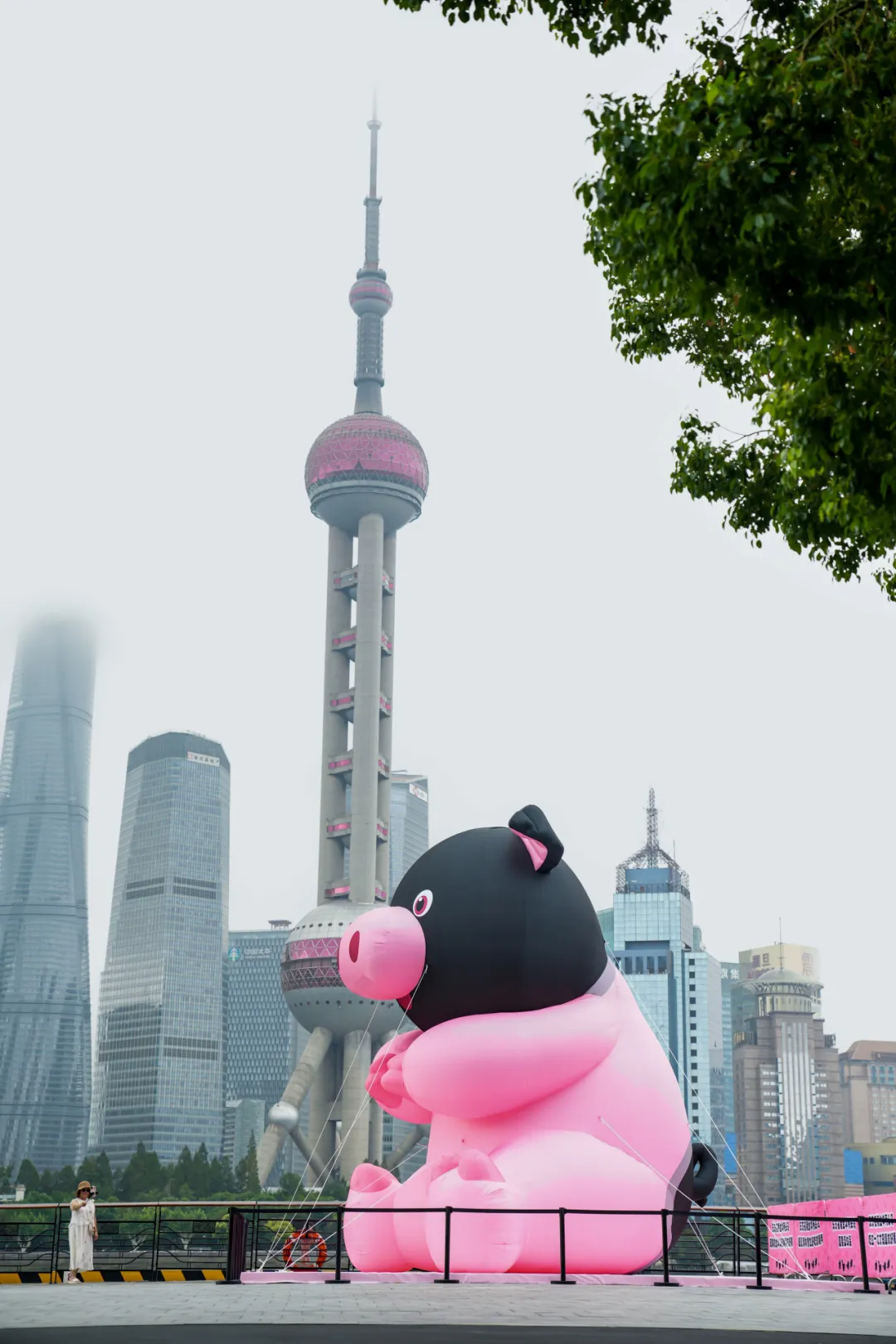东方名猪遇见东方明珠!解锁1700年珍馐的破圈之路-广告人干货库