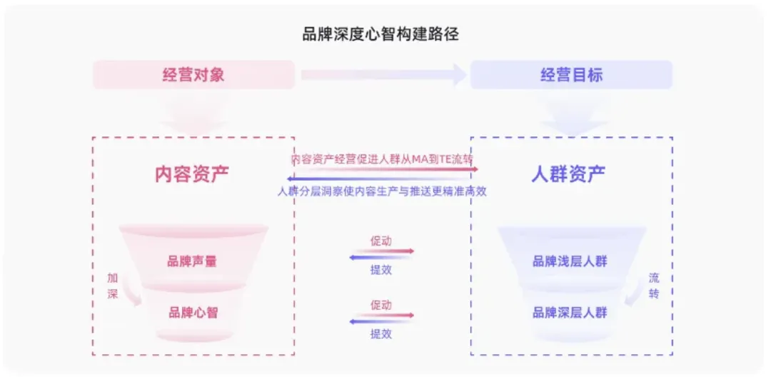 《许我耀眼》赵露思教我——后双11时代的营销策略-广告人干货库
