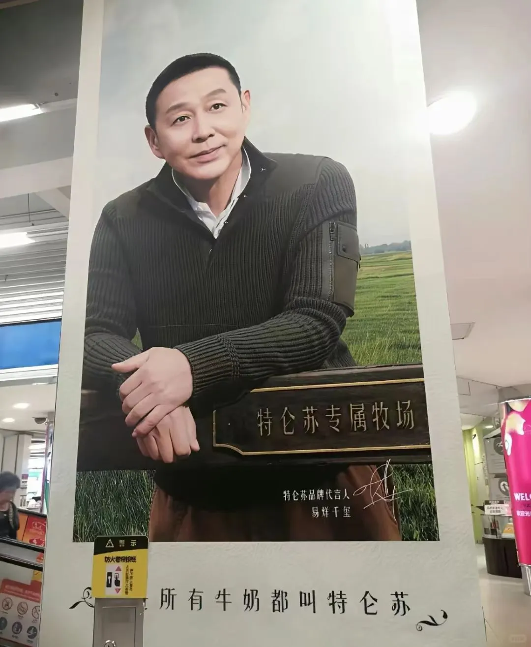 特仑苏又翻车,海报写错代言人-广告人干货库