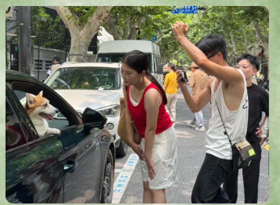 凑近点,再凑近点,就有生活的热闹了!-广告人干货库