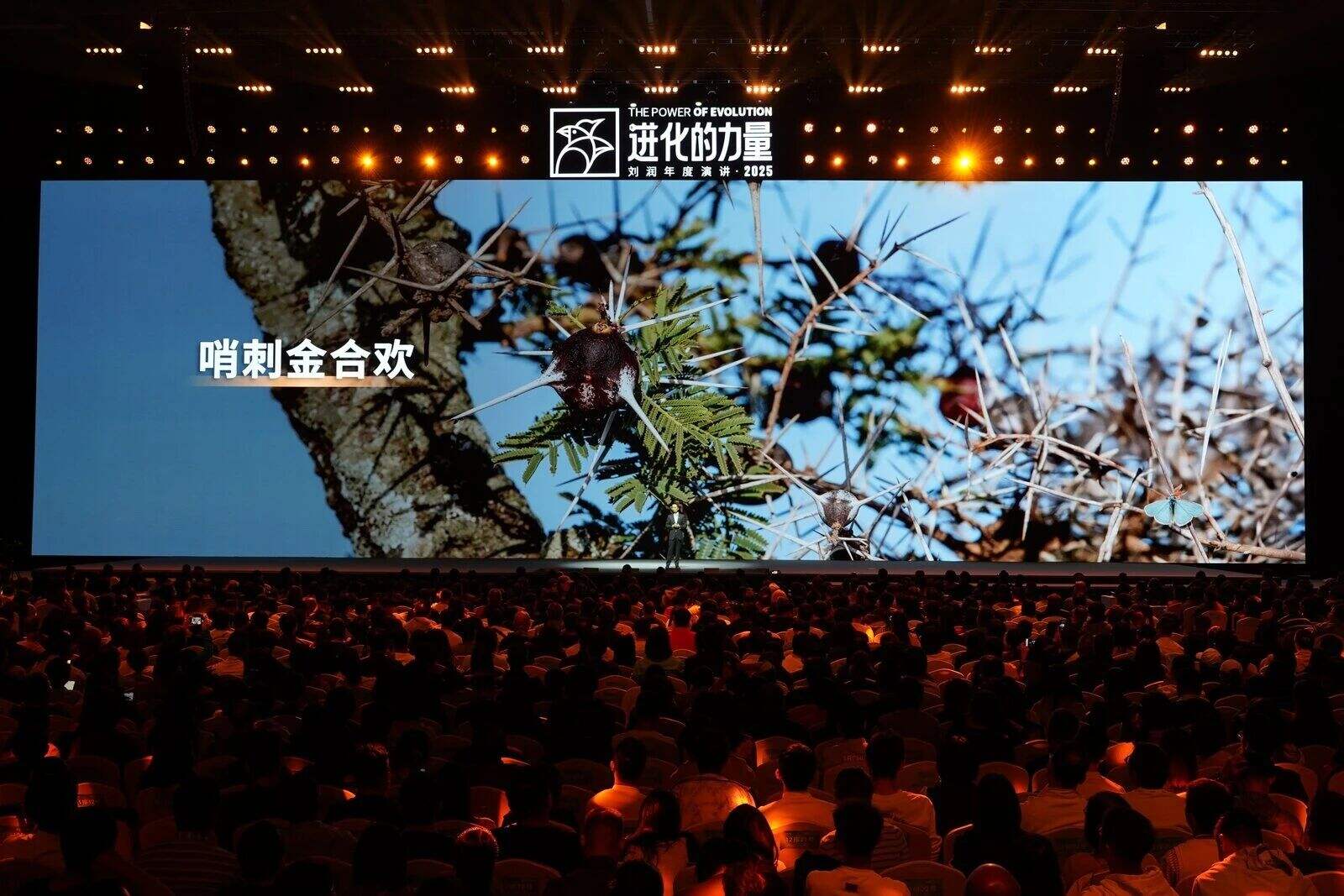 刘润年度演讲2025:进化的力量(演讲全文)-广告人干货库