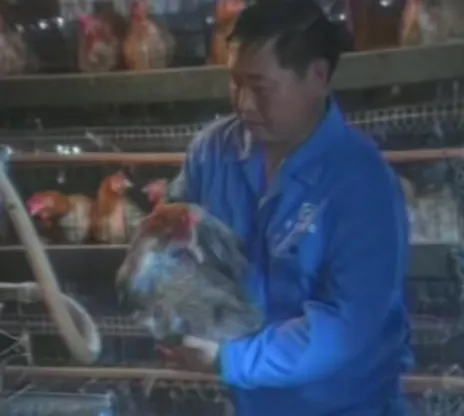 老乡鸡的品牌公关,西贝贾老板学不会-广告人干货库