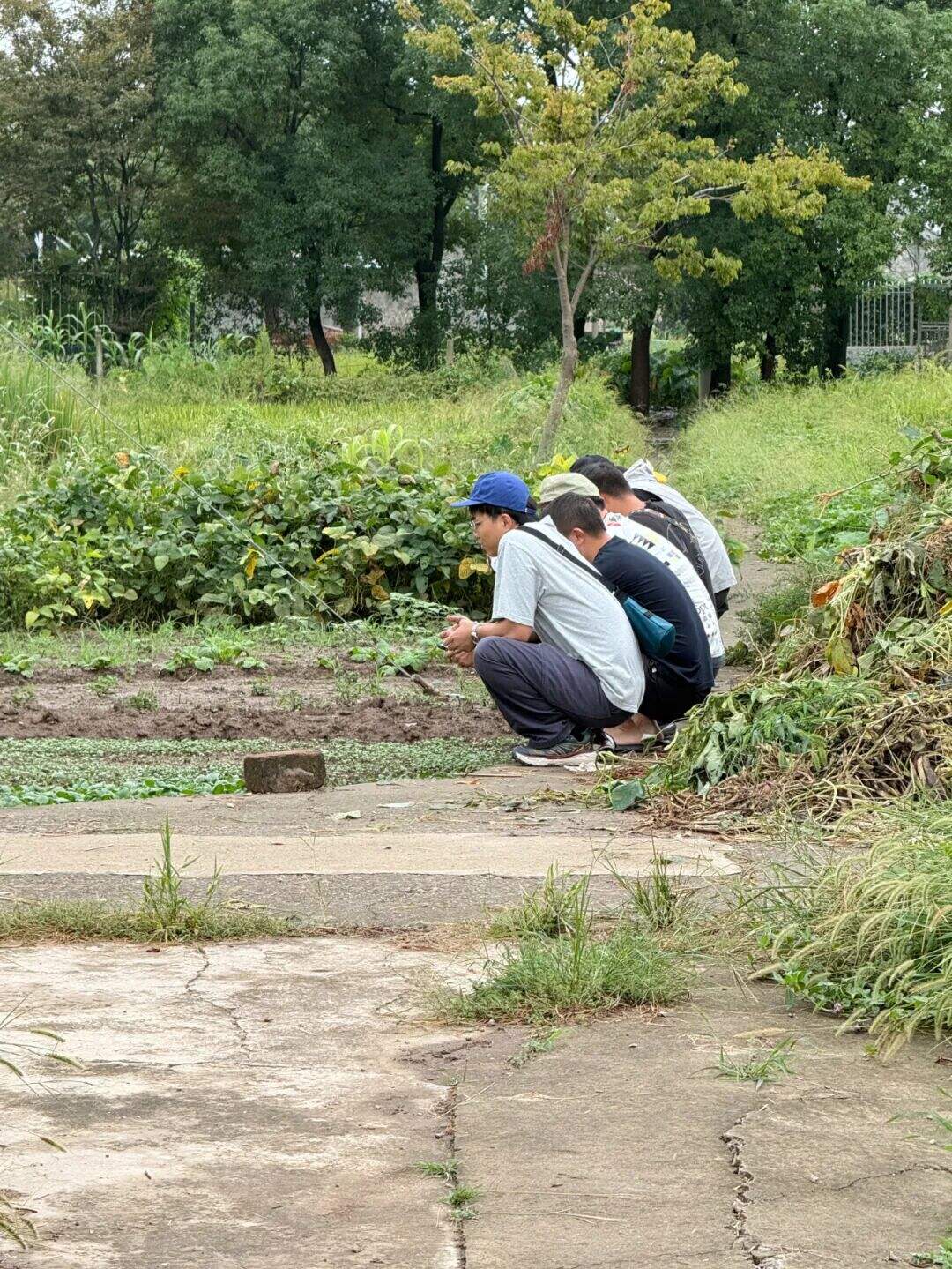 广告人干货库 转转:BLG不能寄!-广告人干货库