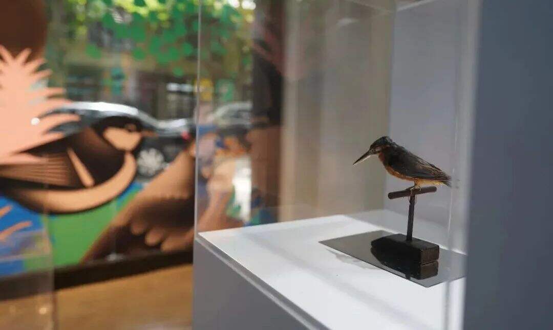 广告人干货库 上海Anomaly OPEN新展开幕:都市森林里开辟一片看得见鸟儿的绿洲-广告人干货库