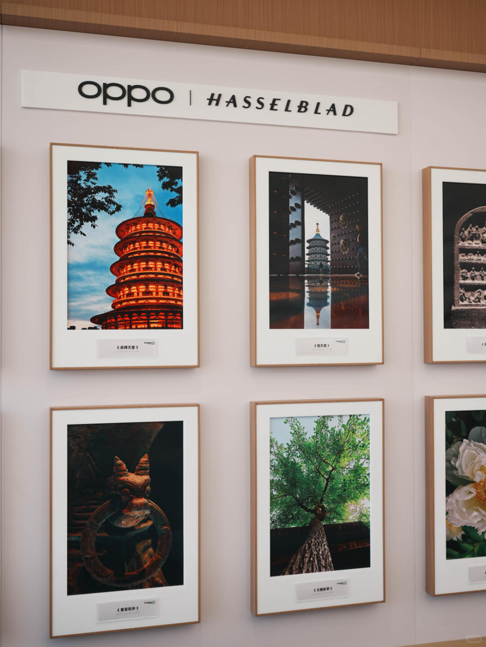 广告人干货库 品牌门店,正成为旅行的“情绪目的地”-广告人干货库