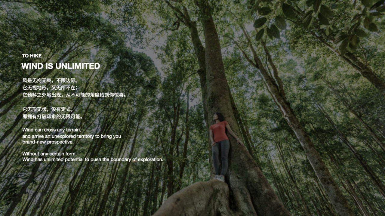 广告人干货库 THE NORTH FACE:长路轻及,与风同行-广告人干货库