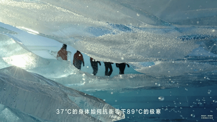 汤臣倍健30周年，全AI品牌大片《敢探极境》-广告人干货库