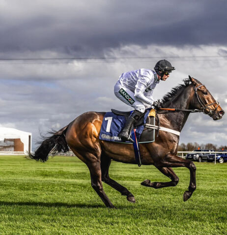 广告人干货库 亨氏:想赢的番茄,有的是“手段”被看见!-广告人干货库