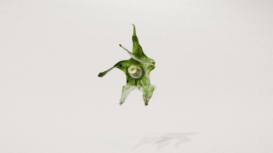 广告人干货库 亨氏:想赢的番茄,有的是“手段”被看见!-广告人干货库