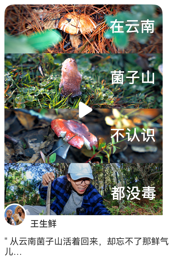 广告人干货库 优质内容种草,助力老板电器寻鲜记内容出圈-广告人干货库