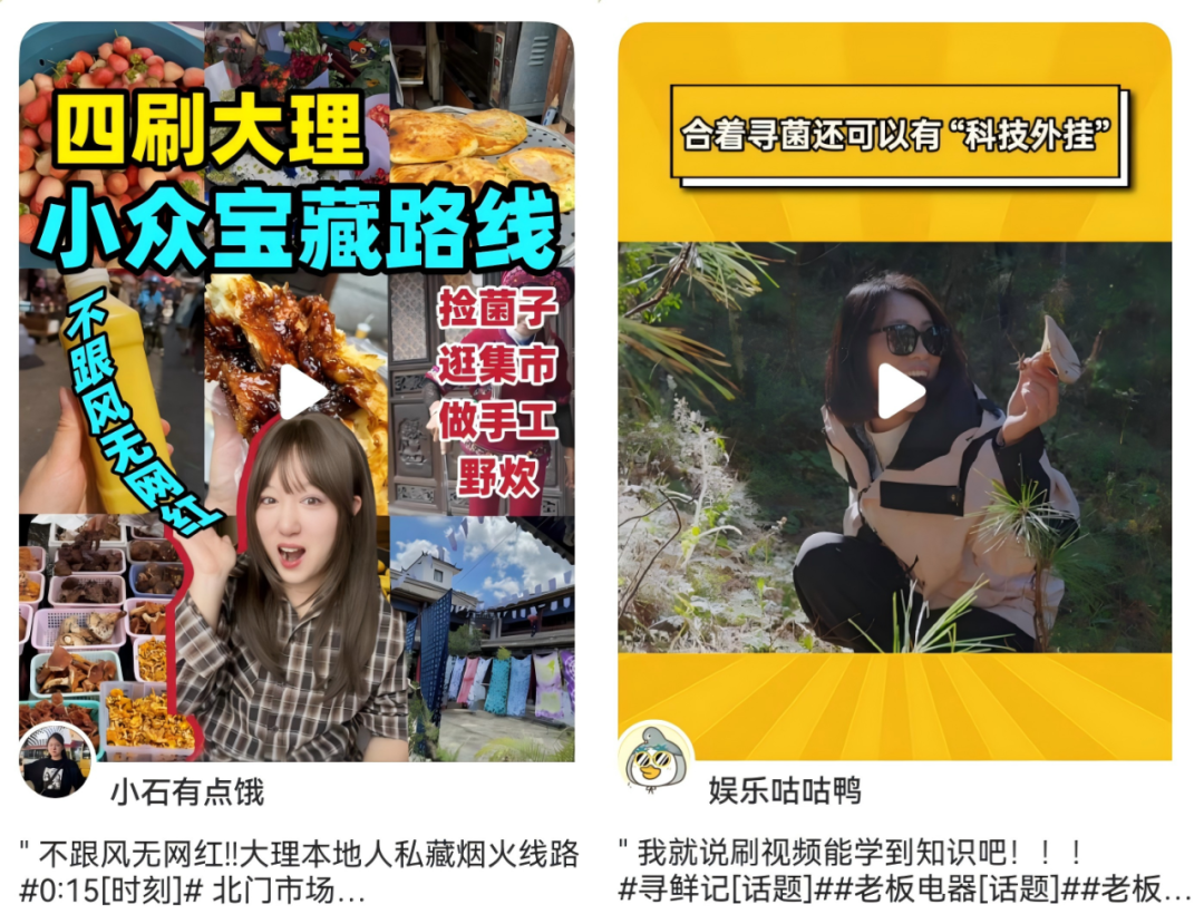 广告人干货库 优质内容种草,助力老板电器寻鲜记内容出圈-广告人干货库