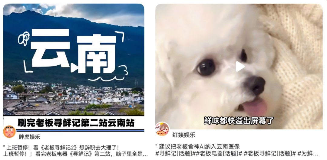 广告人干货库 优质内容种草,助力老板电器寻鲜记内容出圈-广告人干货库
