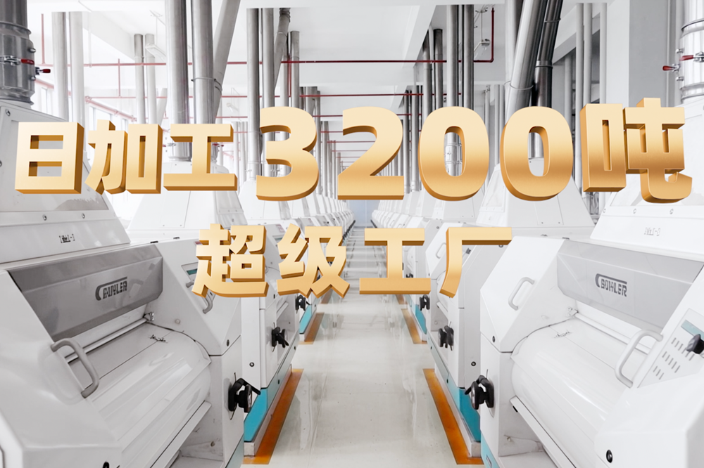 广告人干货库 今麦郎1桶半大面王×贾冰:用“大分量”说话,以真诚赢得人心-广告人干货库