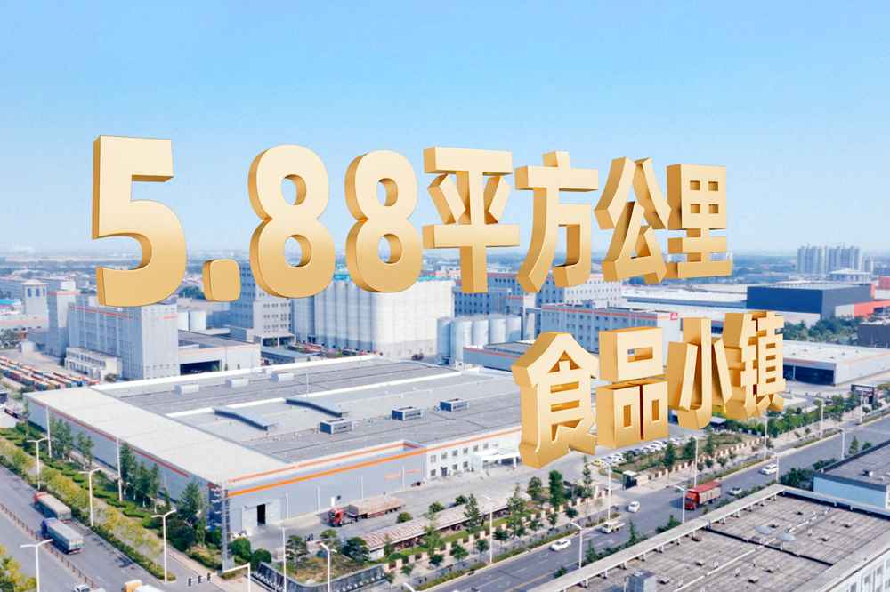 广告人干货库 今麦郎1桶半大面王×贾冰:用“大分量”说话,以真诚赢得人心-广告人干货库