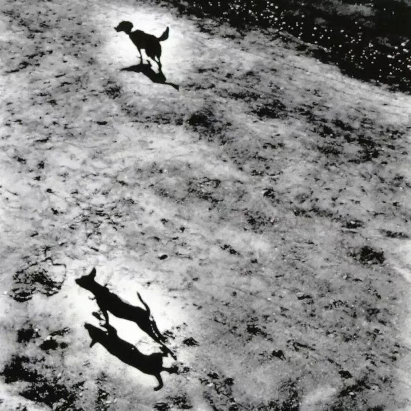 07.想做爆款?先讀《詩經》 by W 思無邪-广告人干货库