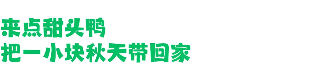 2025小红书马路生活节 | 那些让人心动的内容,真的来到你我身边-广告人干货库