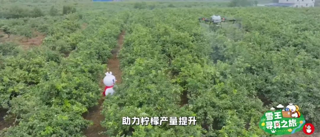 2025年度健康饮品榜及爆品打造策略-广告人干货库