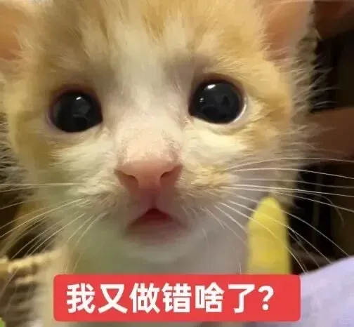 广告行业有多草台班子?比稿那天,才发现我们全是临时凑的外包-广告人干货库