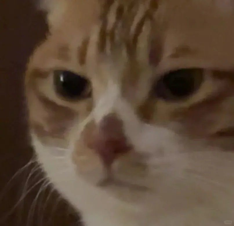 广告行业有多草台班子?比稿那天,才发现我们全是临时凑的外包-广告人干货库