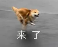 广告人干货库 抖音商城双11好物节:不说废话,直给低价-广告人干货库