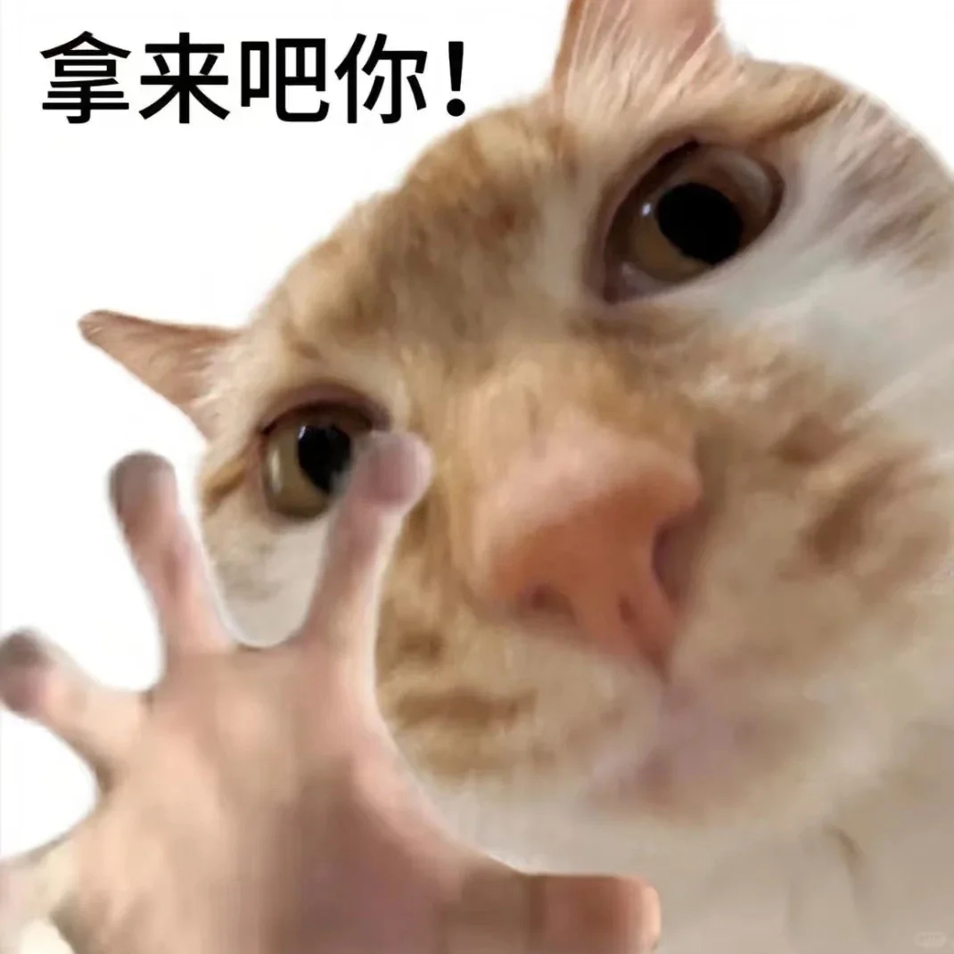 广告人干货库 抖音商城双11好物节:不说废话,直给低价-广告人干货库