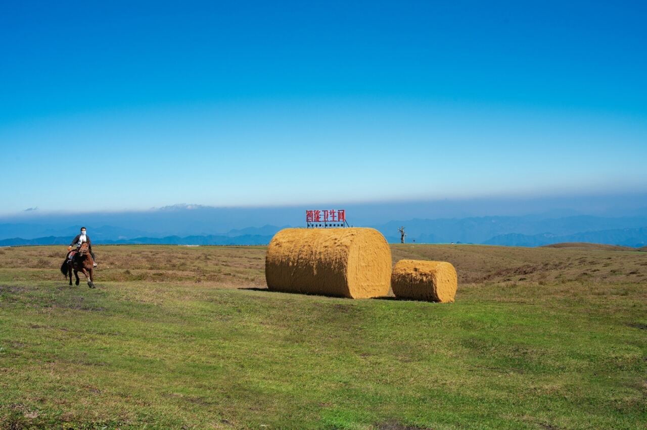 广告人干货库 京东:2000米高原上,一件“天大的小事”-广告人干货库