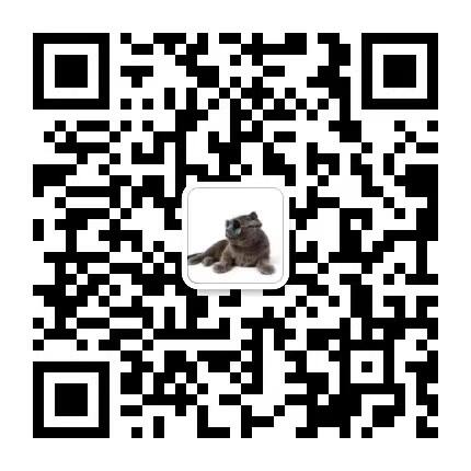 广告人干货库 罗永浩:真正的IP要长在业务痛点上-广告人干货库