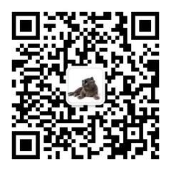 广告人干货库 罗永浩:真正的IP要长在业务痛点上-广告人干货库