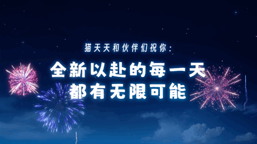 广告人干货库 天猫×《疯狂动物城2》:疯狂双11,嗨翻全城-广告人干货库