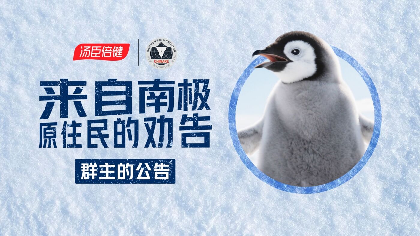 广告人干货库 汤臣倍健《敢探极境》番外:南极原住民的劝告?我不听!-广告人干货库