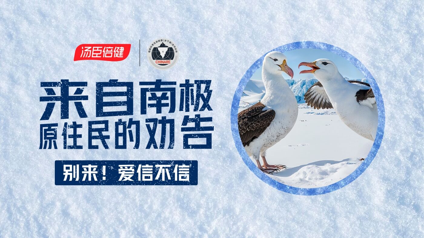 广告人干货库 汤臣倍健《敢探极境》番外:南极原住民的劝告?我不听!-广告人干货库