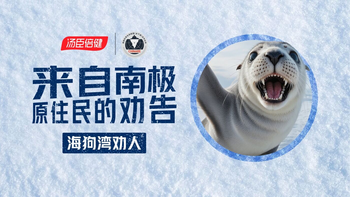 广告人干货库 汤臣倍健《敢探极境》番外:南极原住民的劝告?我不听!-广告人干货库