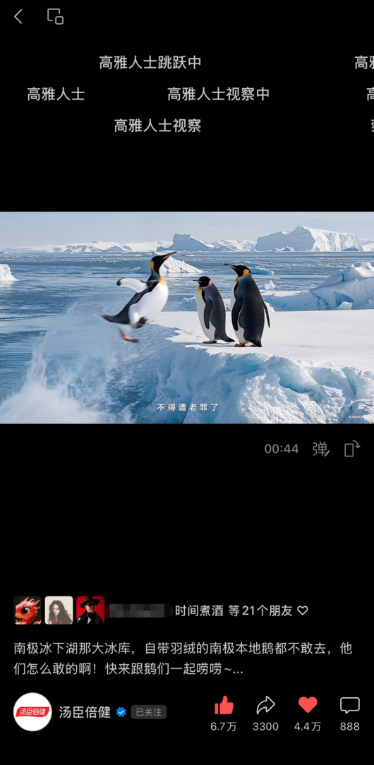 汤臣倍健《敢探极境》番外：南极原住民的劝告？我不听！-广告人干货库