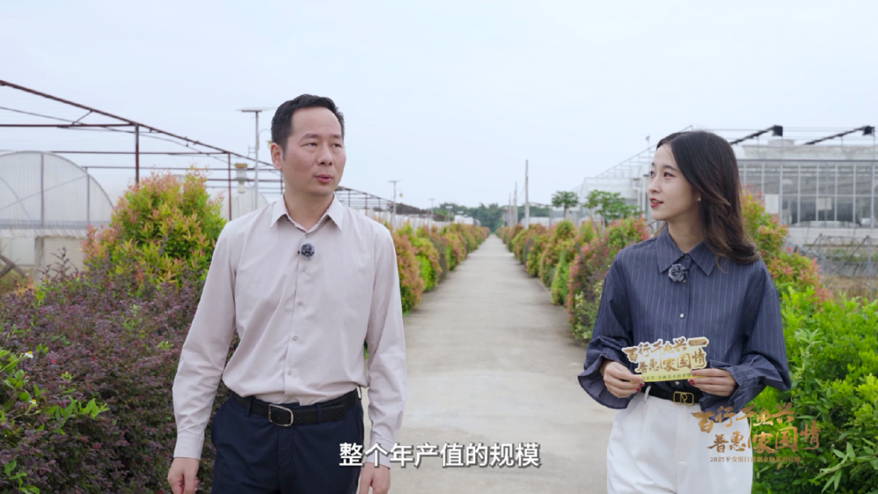 广告人干货库 从海上农田到智能车间,直播里记录着小生意里的大梦想-广告人干货库