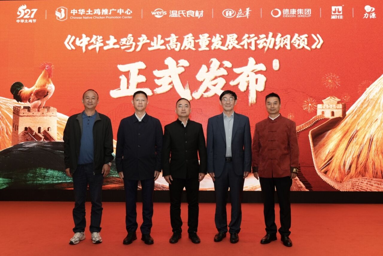 广告人干货库 中华土鸡节:引领产业变革,让中国人爱上中华土鸡-广告人干货库
