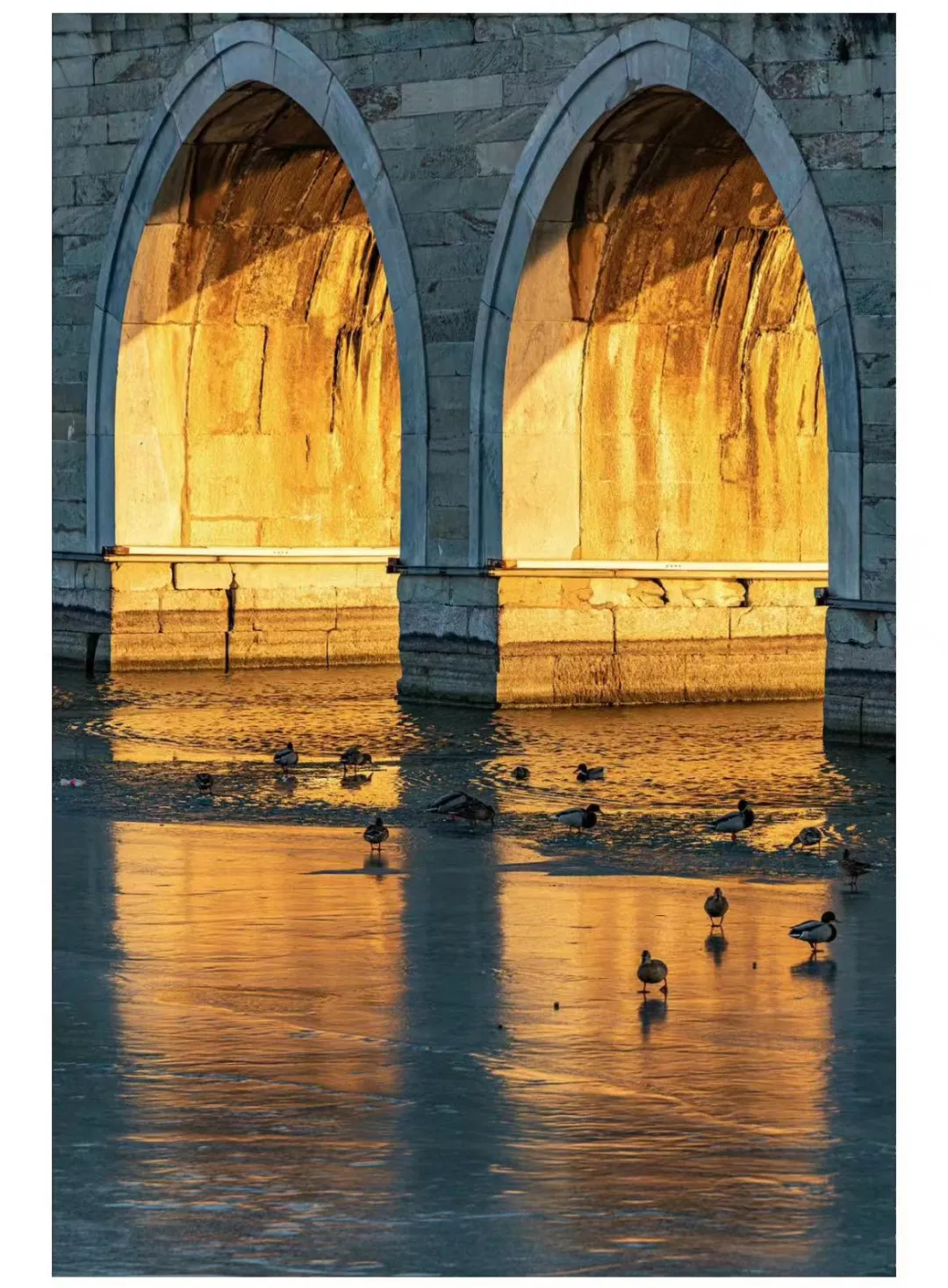 麦当劳新海报!光影杀癫了!-广告人干货库