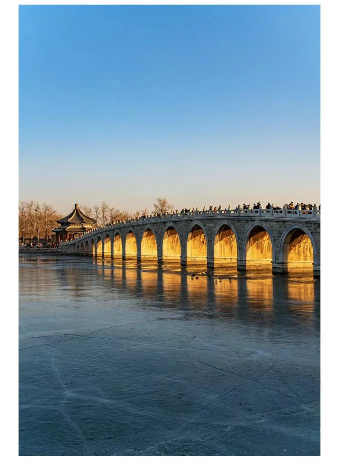 麦当劳新海报!光影杀癫了!-广告人干货库