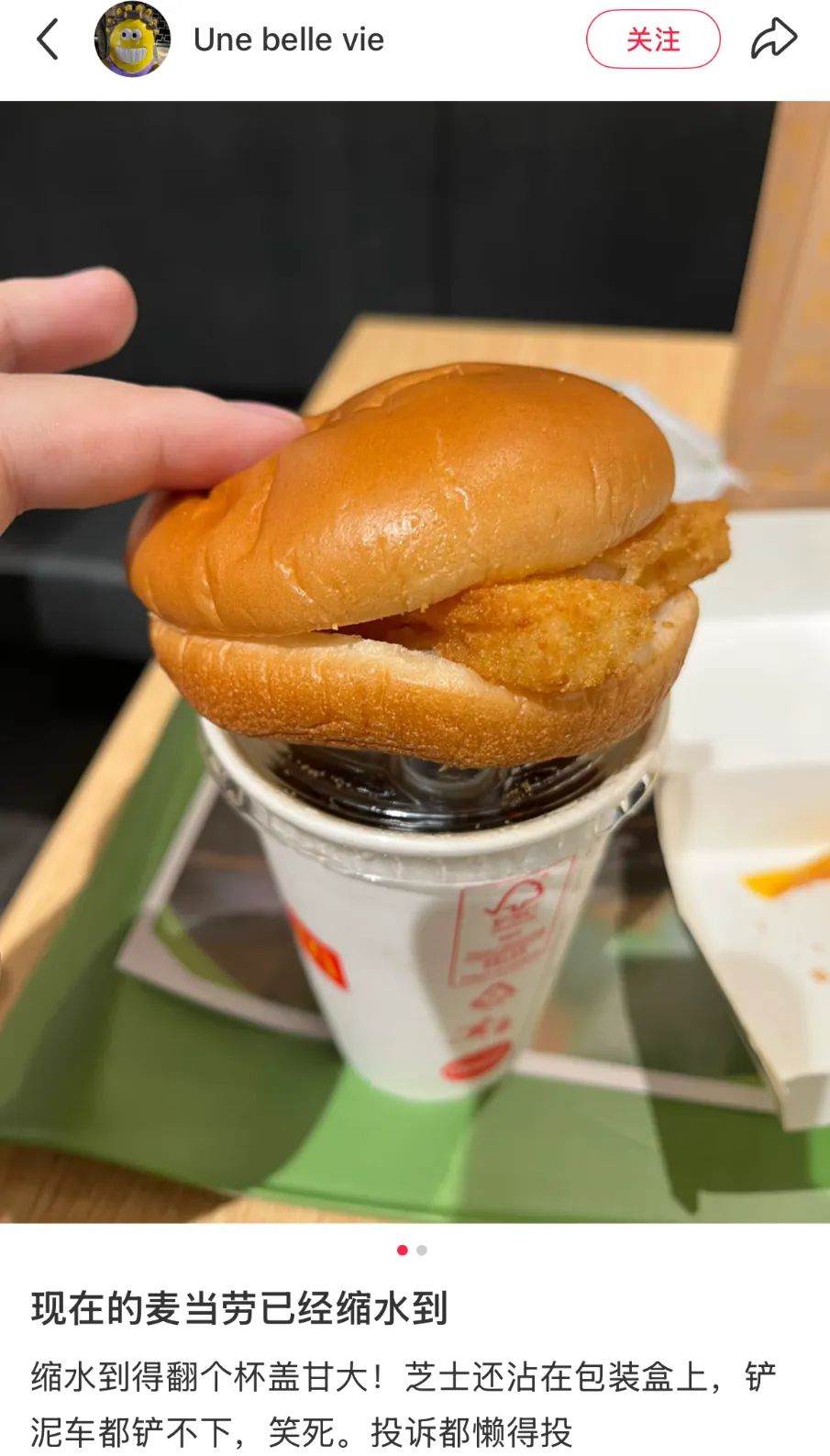 麦当劳涨价!网友:“一边缩水,一边涨价”-广告人干货库