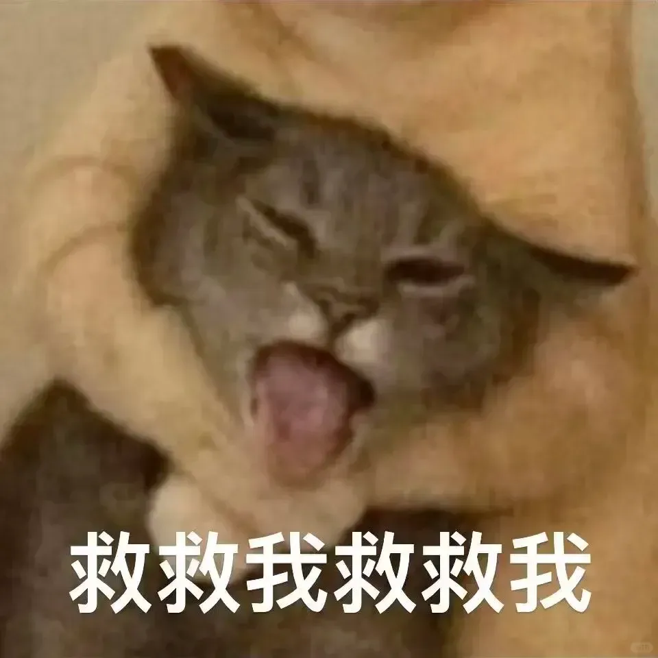 帮客户垫款12w之后，客户破产倒闭了，做媒介有点惨了。。-广告人干货库