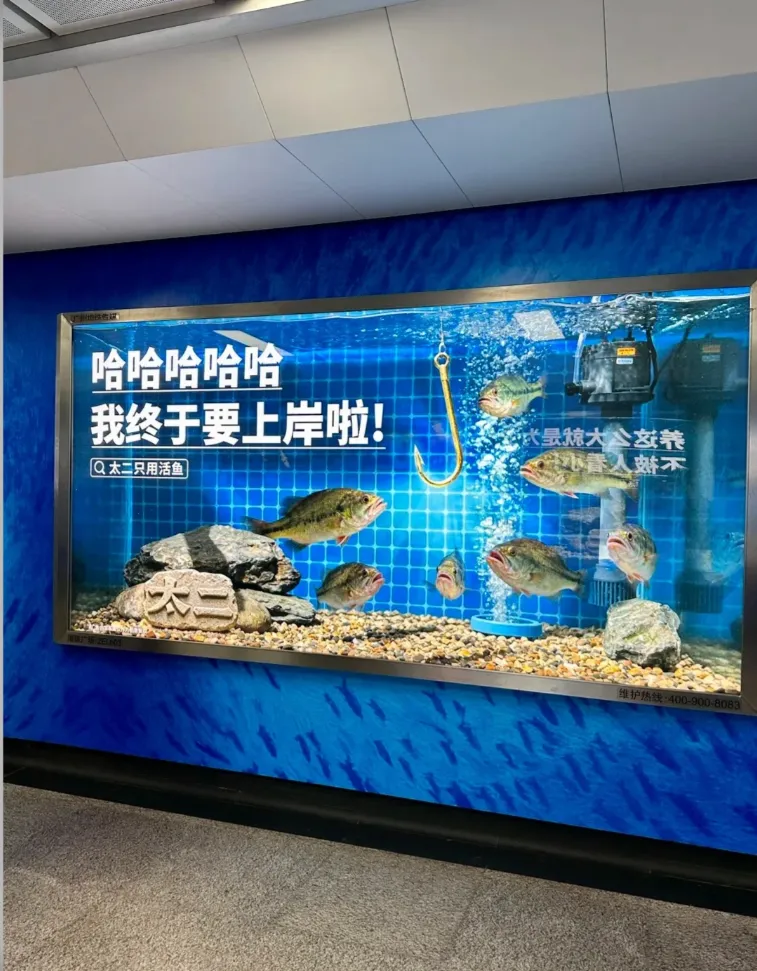 2025大屏广告，让创意有了新标杆！-广告人干货库