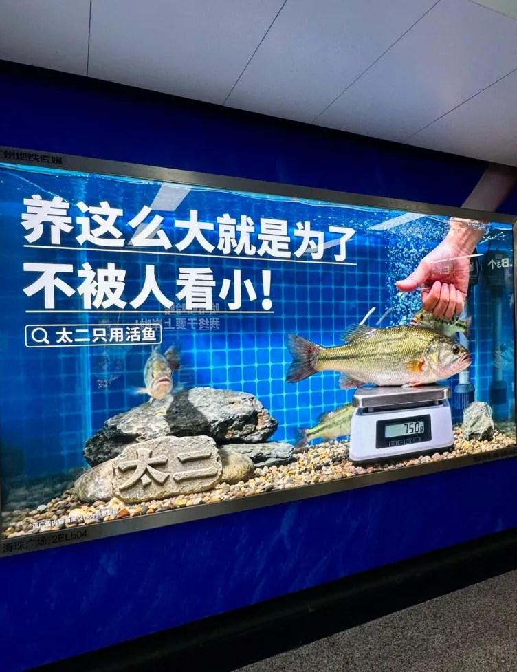 2025大屏广告，让创意有了新标杆！-广告人干货库