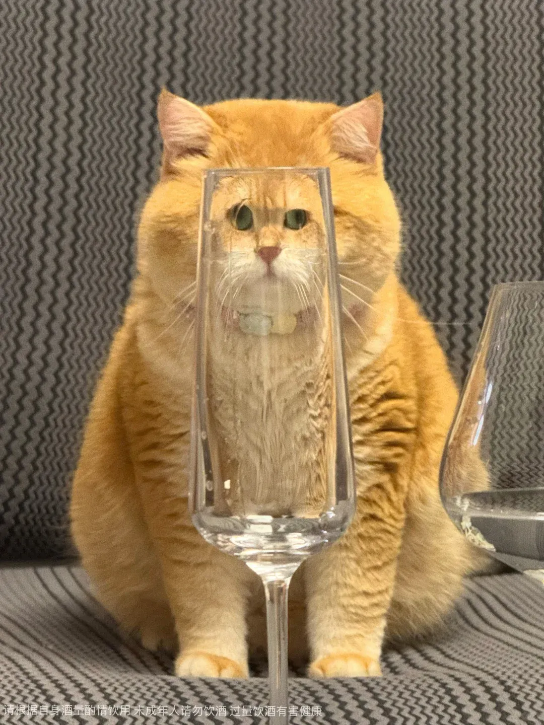 三九胃泰抽象广告又出续作?活人感好强。。。-广告人干货库