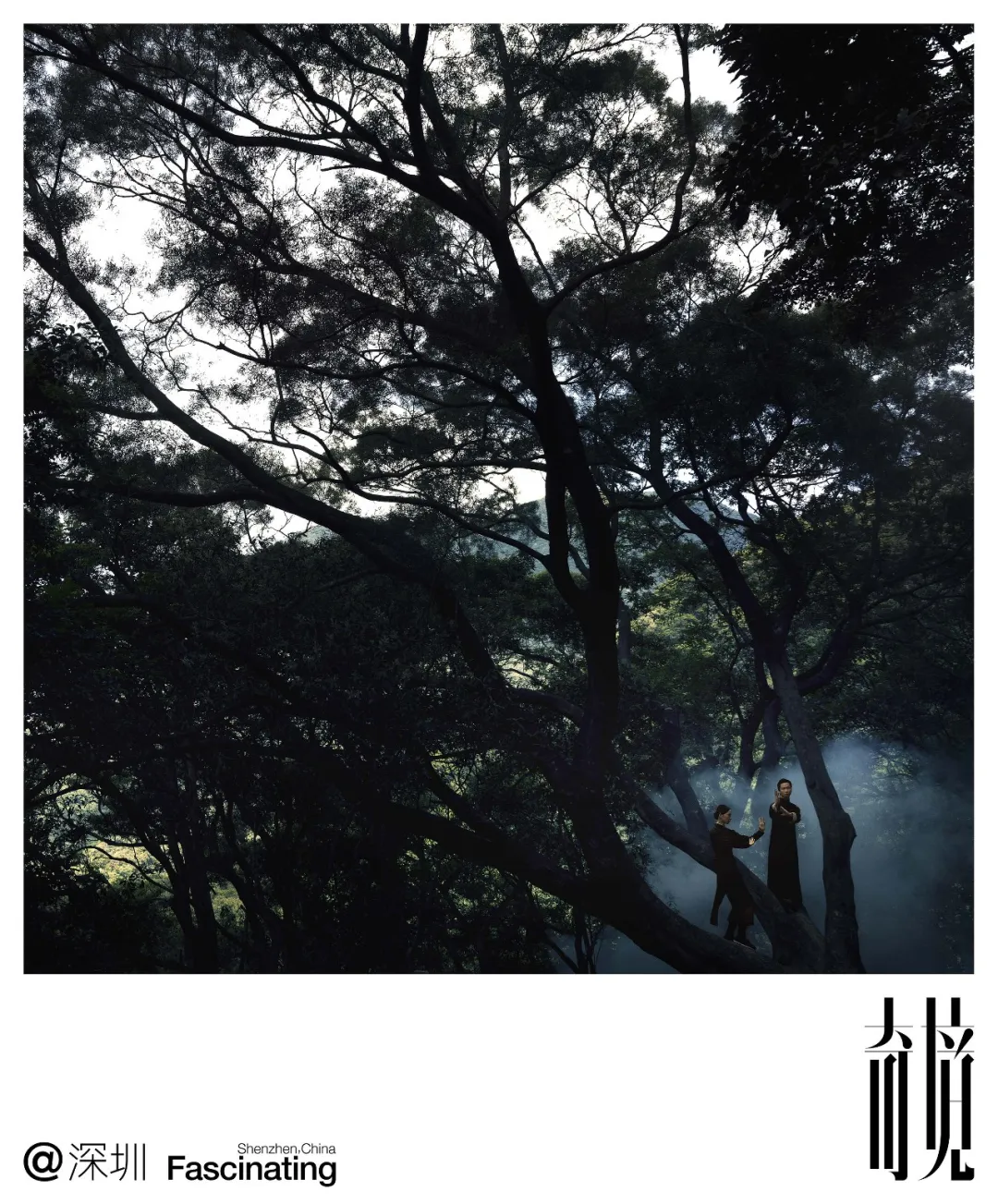 2025年度8大美术-广告人干货库