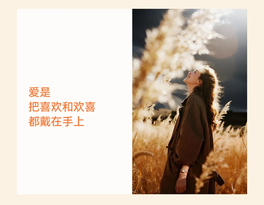 松鼠跃动×DAVENA蒂玮娜：新锐腕表品牌升级与差异化战略全案-广告人干货库