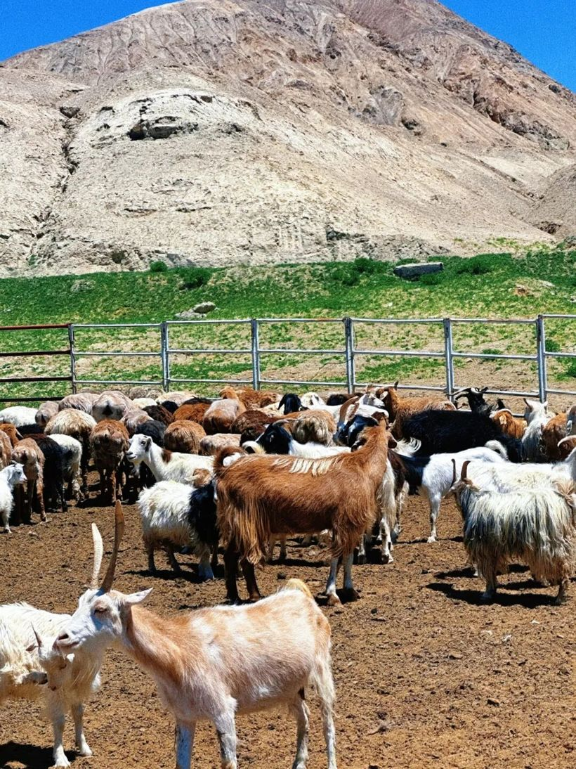 始祖鸟：是的，我们去《山的另一边》拍了一部电影-广告人干货库