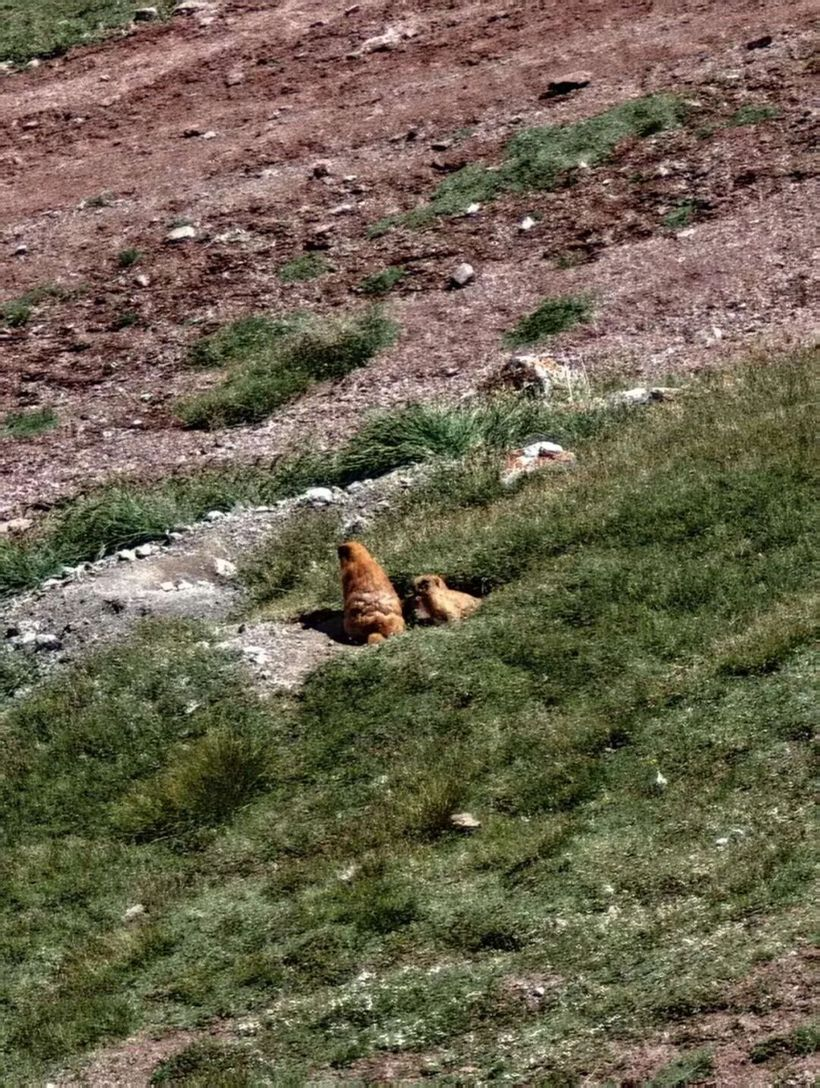 始祖鸟：是的，我们去《山的另一边》拍了一部电影-广告人干货库