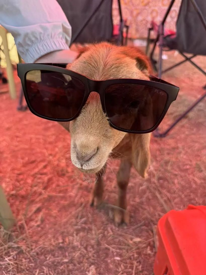 始祖鸟：是的，我们去《山的另一边》拍了一部电影-广告人干货库