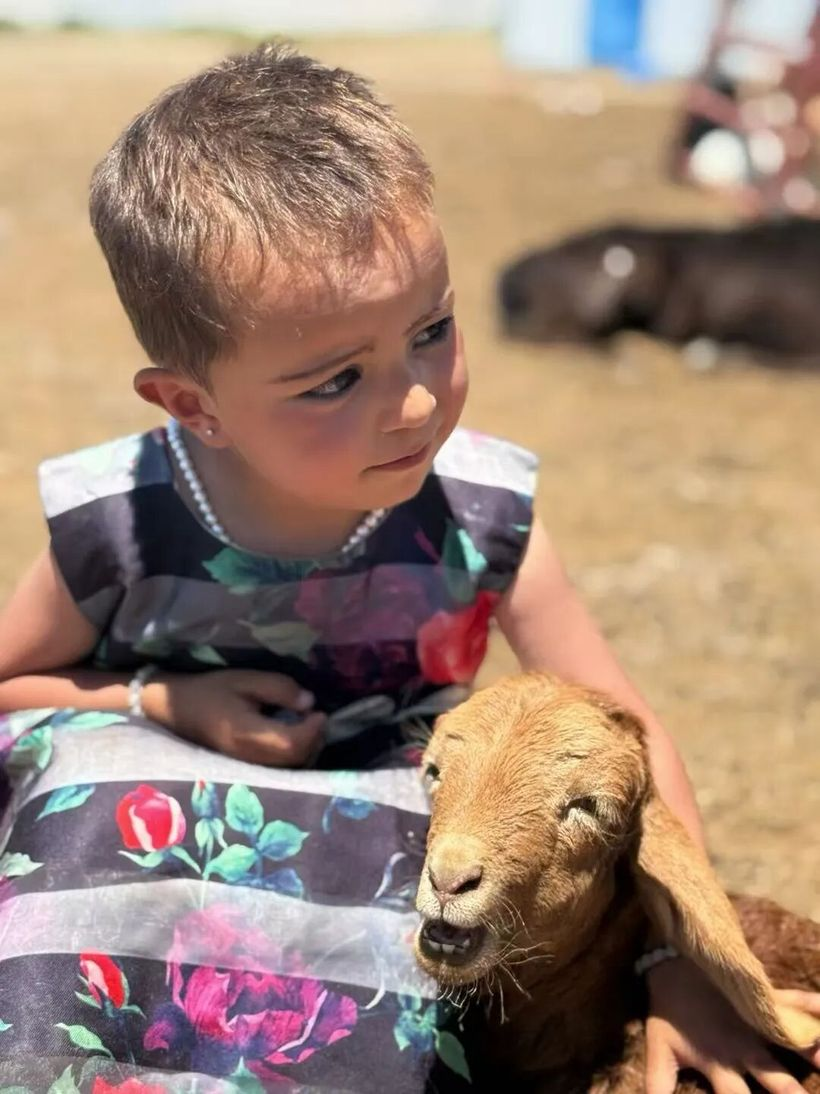 始祖鸟：是的，我们去《山的另一边》拍了一部电影-广告人干货库