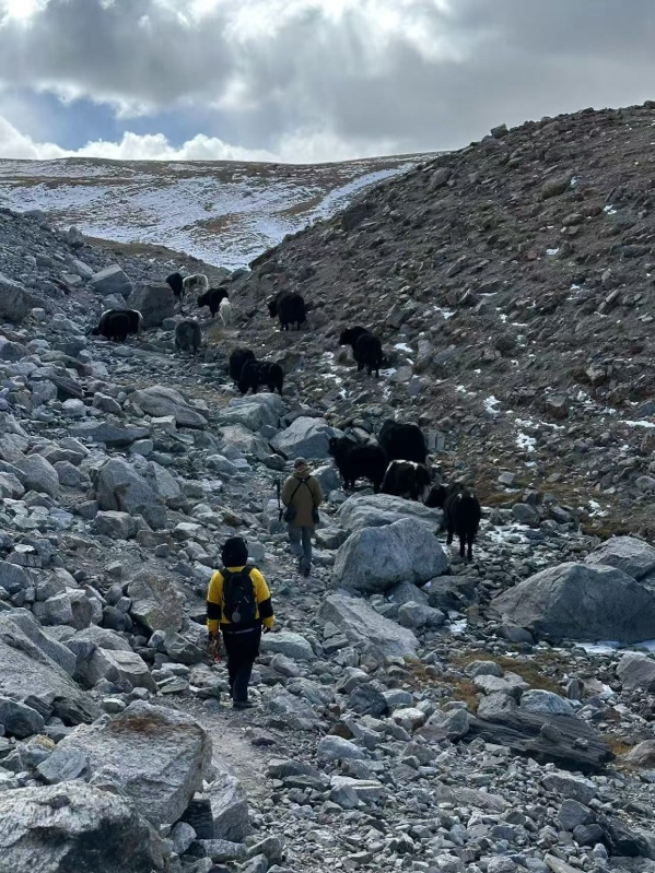 广告人干货库 北面本命年:探索是本命-广告人干货库
