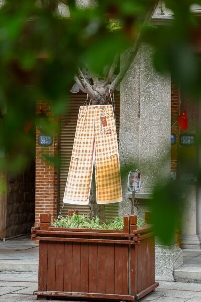 三福爱整活！在泉州来了场新年妙会！-广告人干货库